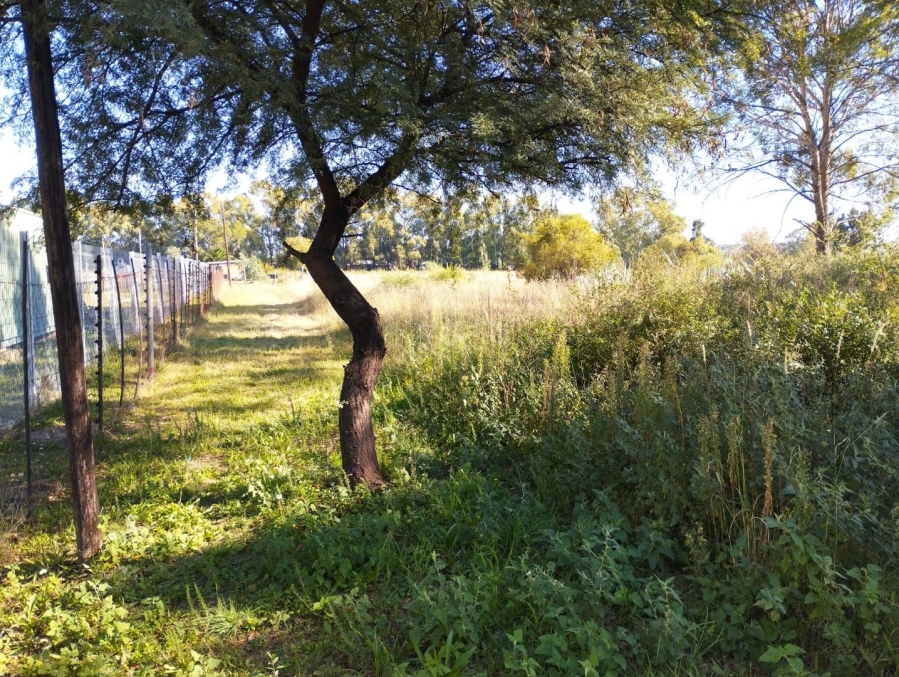Commercial Property for Sale in Estoire Free State